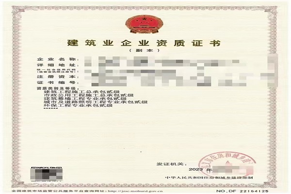 案例展示六